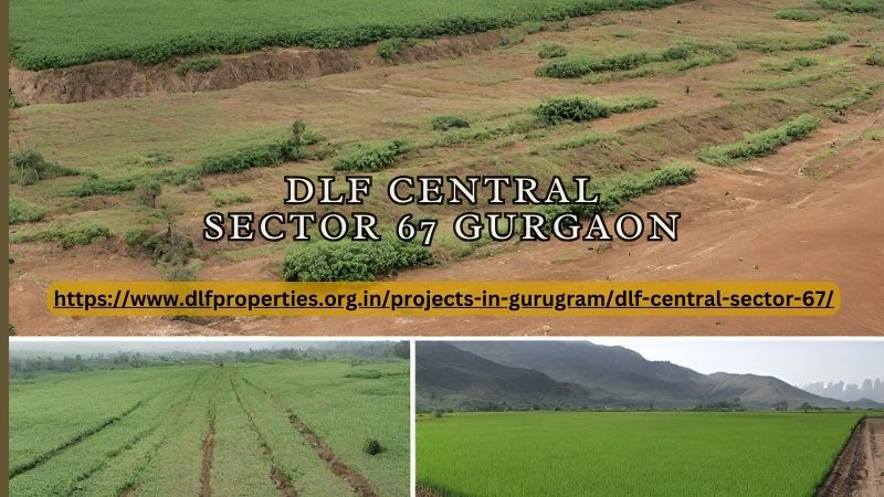 DLF Central Sector 67, DLF Central Sector 67 Gurgaon, DLF Central Sector 67 Gurugram, DLF Central Gurgaon, DLF Project In Gurgaon