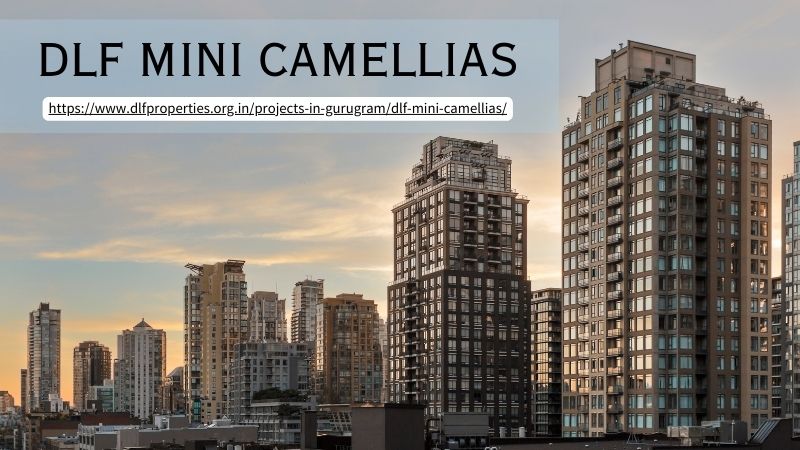 DLF Mini Camellias, DLF Mini Camellias Sector 42, DLF Mini Camellias Sector 42 Gurgaon, DLF Mini Camellias Sector 42 Gurugram, DLF Sector 42 Gurgaon, DLF Sector 42 Gurugram, DLF New Project Mini Camellias, DLF Project In Sector 42