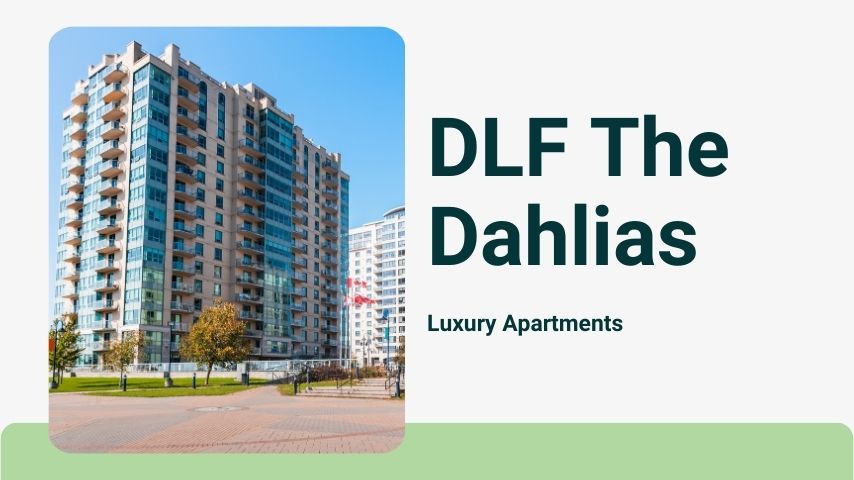 DLF The Dahlias